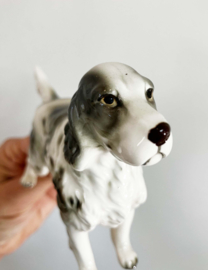 Vintage beeldje - Engelse Setter of een Spaniel? Keramieken retro honden beeld