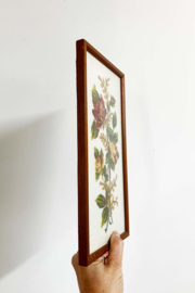 Vintage borduurwerk met rozen in lijst. Retro bloemen 'schilderijtje