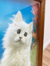 Grote vintage 3D prent met poesjes  in lijst. Retro katten poster.