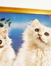 Vintage 3D prent met poesjes in lijst. Retro katten poster.