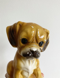 Koddige vintage puppy spaarpot. Retro beeldje van hond