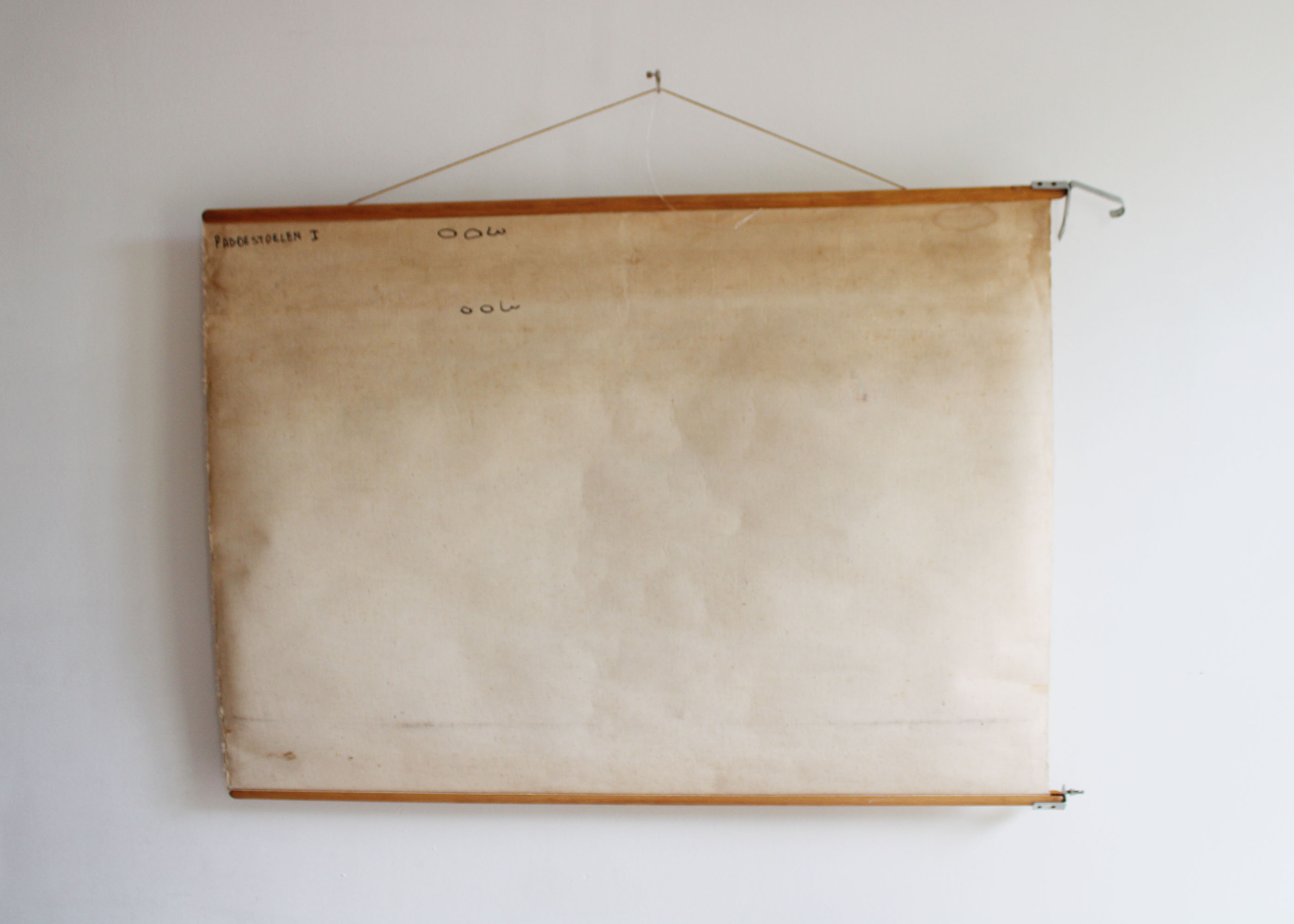Vintage schoolplaat; Paddestoelen. Retro biologie plaat / pull down chart