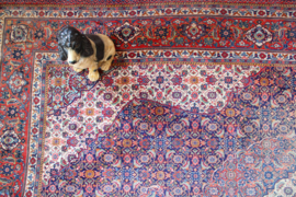 Enorm groot Oosters vintage vloerkleed - Sarough. Tof Perzisch/ Boho tapijt