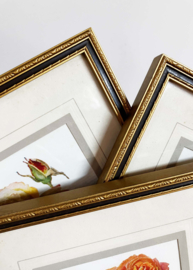Set van 3 bloemen prenten in lijsten. Vintage botanische posters met rozen