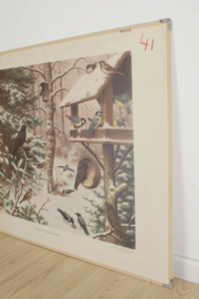Vintage dubbelzijdige schoolplaat - vogels en vissen. Retro plaat - Koekkoek