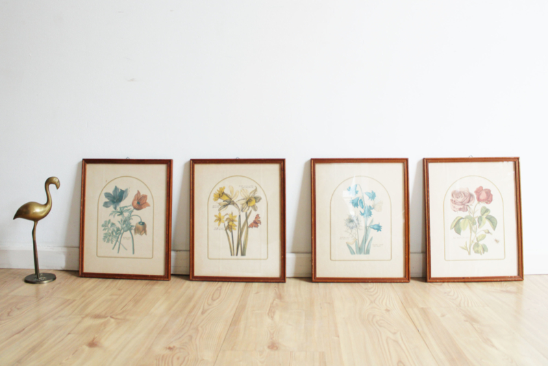 Set van 4 botanische prenten in lijst. Vier vintage 'schilderijtjes'