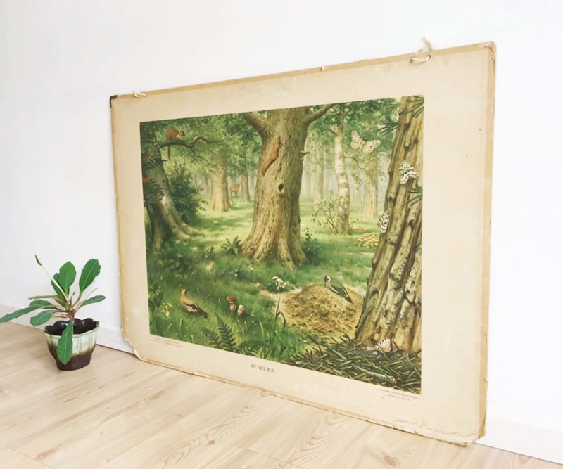 Het bos: Dubbelzijdige schoolplaat van Koekkoek. Vintage poster op karton Schoolplaten | Flat Sheep