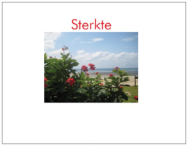 Condoleance wenskaart Sterkte |  Bloem