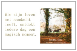 Mindfulness inspiratiekaartje | Magisch moment | per 5 stuks