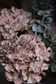 Grote (kunst) hortensia mauve