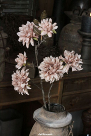 Zijdebloem dahlia cappuccino