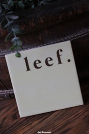 Tegeltje met spreuk of afbeelding (diverse soorten)