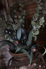 Kunsttak eucalyptus 75 cm