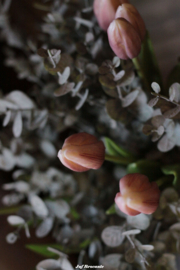 Bos van 7 stelen blossom pink tulpen