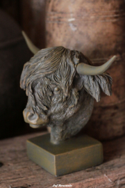 Hooglander borstbeeld