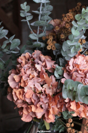 Grote (kunst) hortensia orange