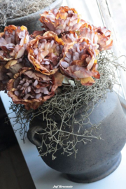 Boeket ROSE brown compleet