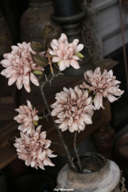 Zijdebloem dahlia cappuccino