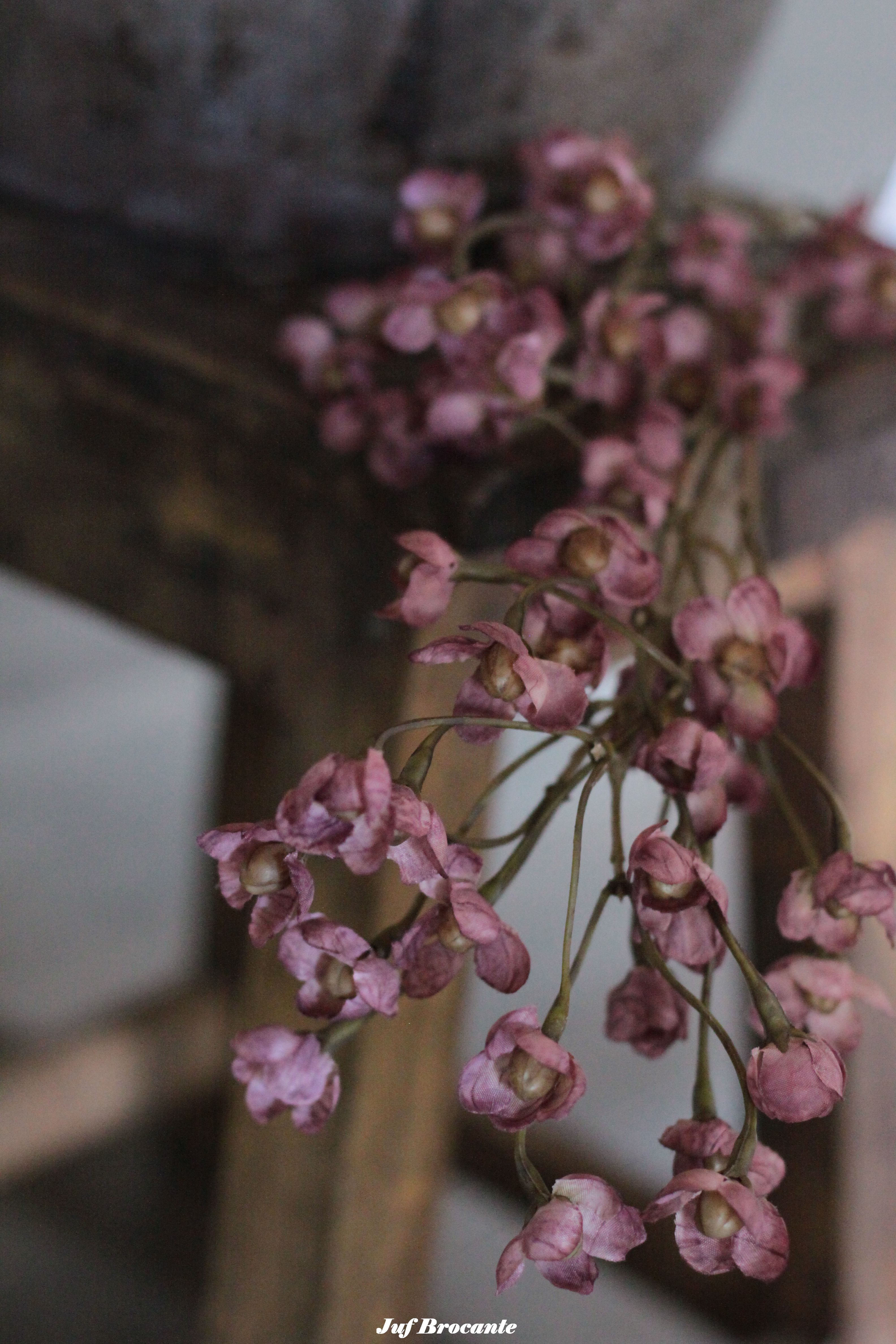 Brynxz Cornis pink