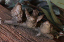 Sculptuur 'vogels op tak' klein