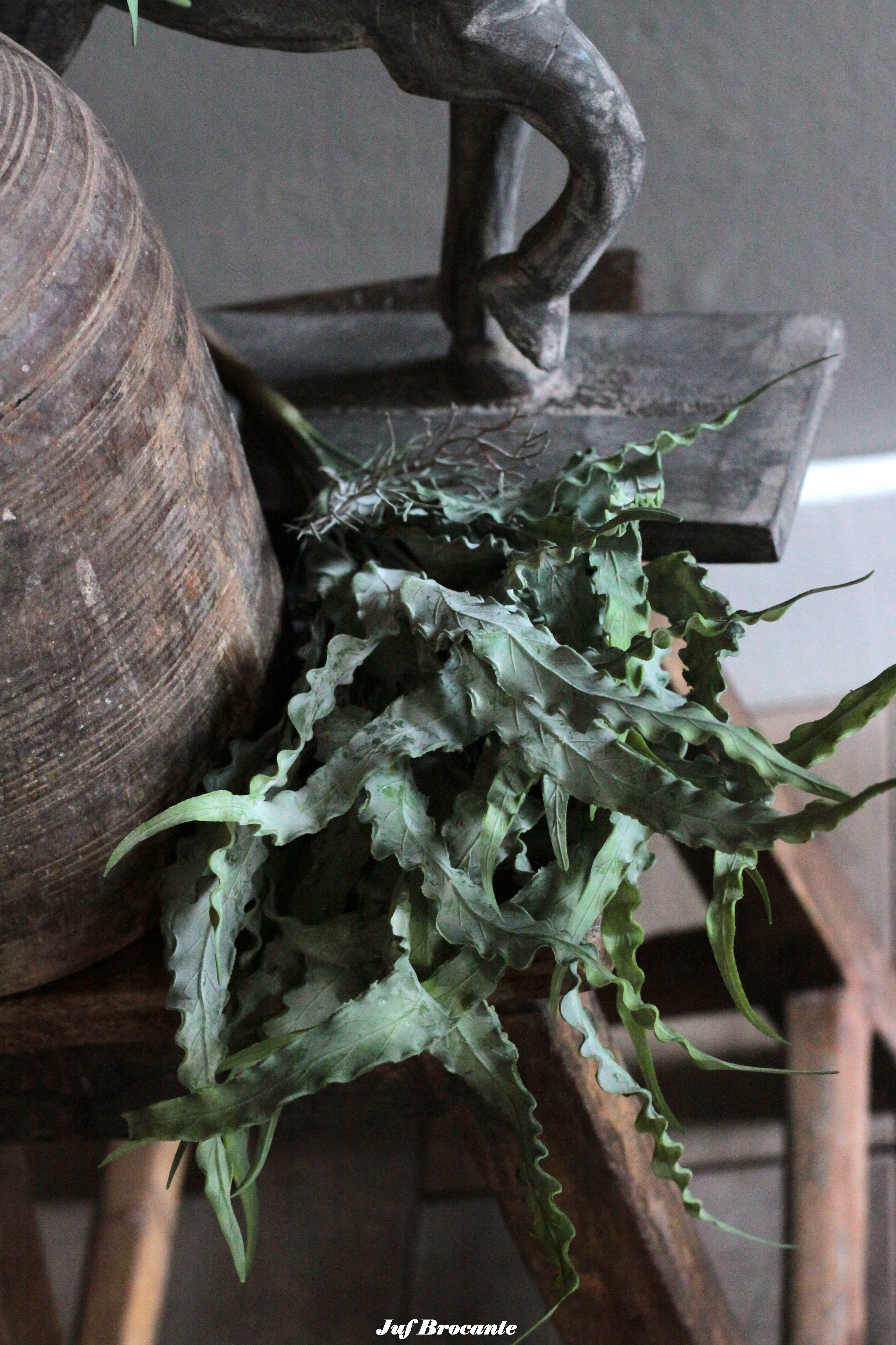 Brynxz eucalyptus bush carved