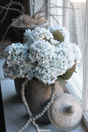 Zijdebloemen