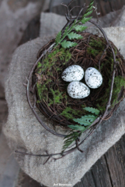 Nestje met (kunst)groen en eitjes