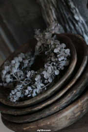 Toef eucalyptus / grijs blad