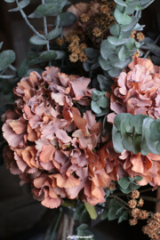 Grote (kunst) hortensia orange