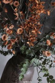 Zijden boeket lottie orange
