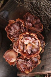 Boeket ROSE brown compleet