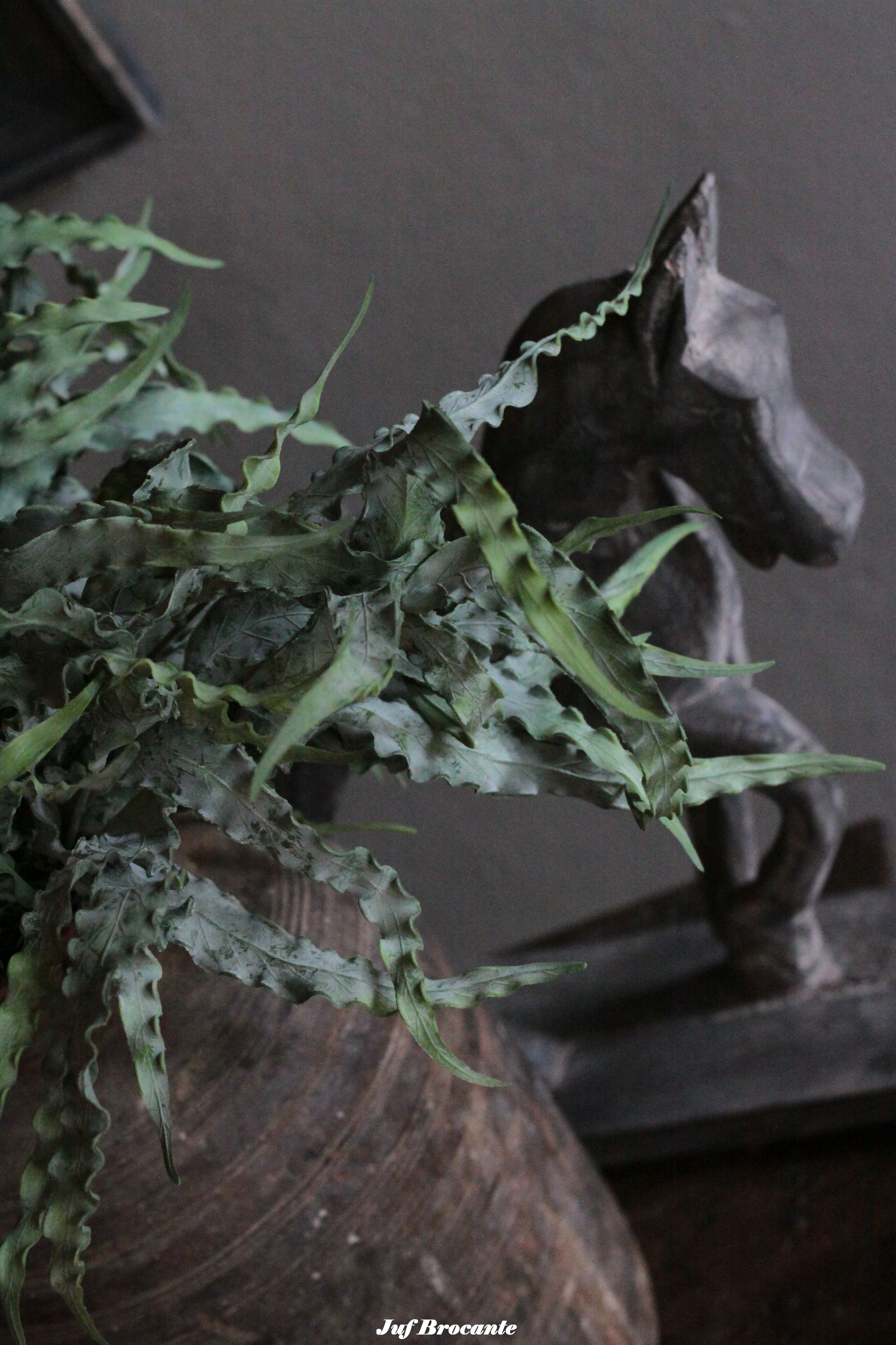 Brynxz eucalyptus bush carved
