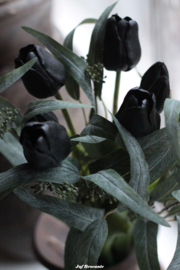 Bos waxtulpen zwart