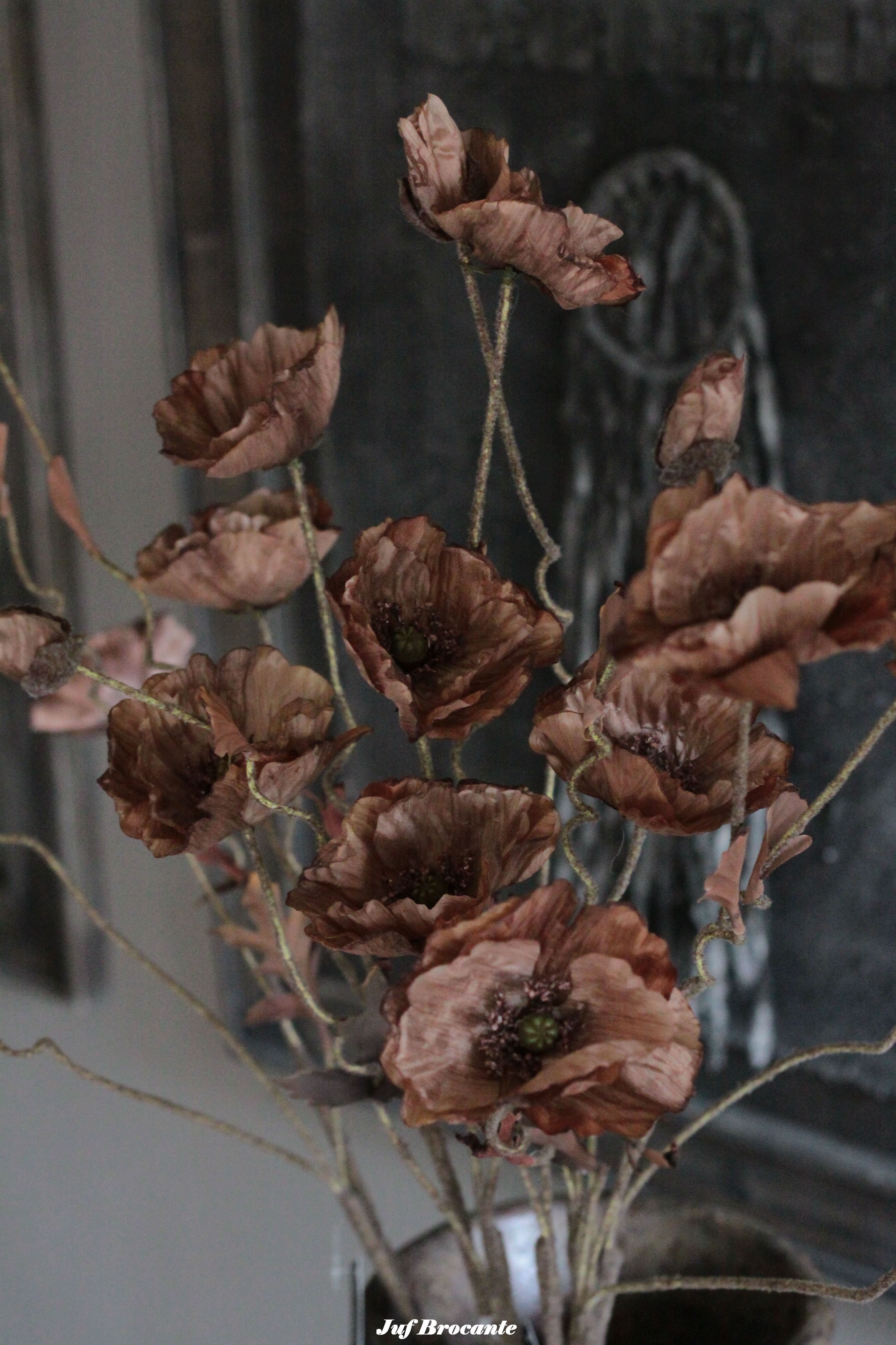 Brynxz zijdebloem poppy bundle brown