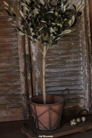 Terracotta pot in frame