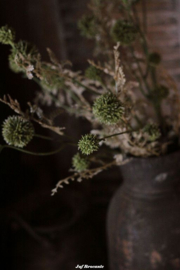 Bos zijdenbloemen en takken in wit met frisgroen
