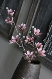BRYXNZ zijdebloem magnolia pink