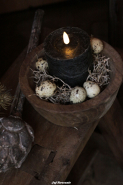 Houten schaal L compleet met tillandsia, kaars en kwarteleitjes