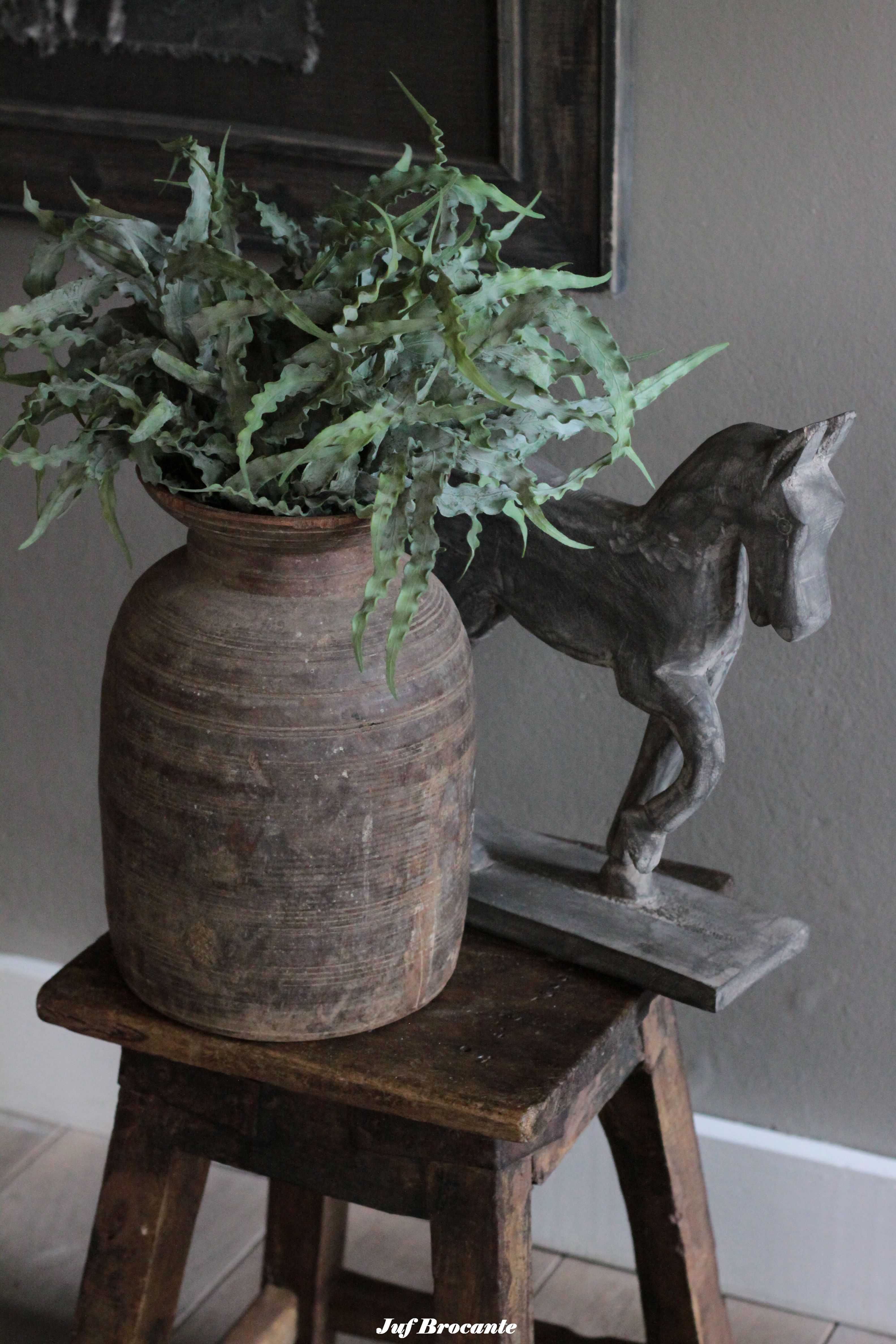 Brynxz eucalyptus bush carved