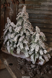 Boomstam met drie kerstbomen