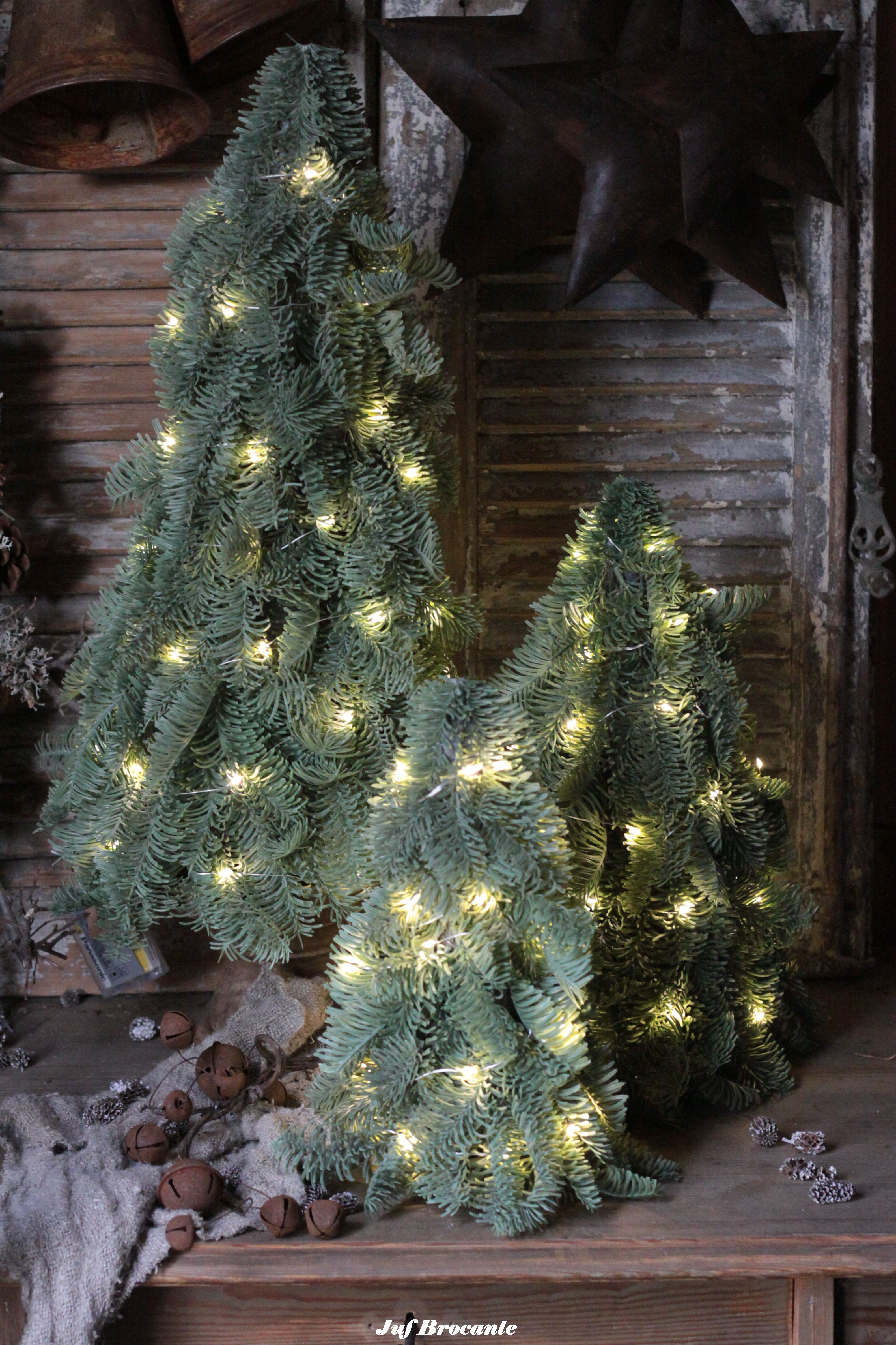 Nobilisboom met verlichting in 3 maten