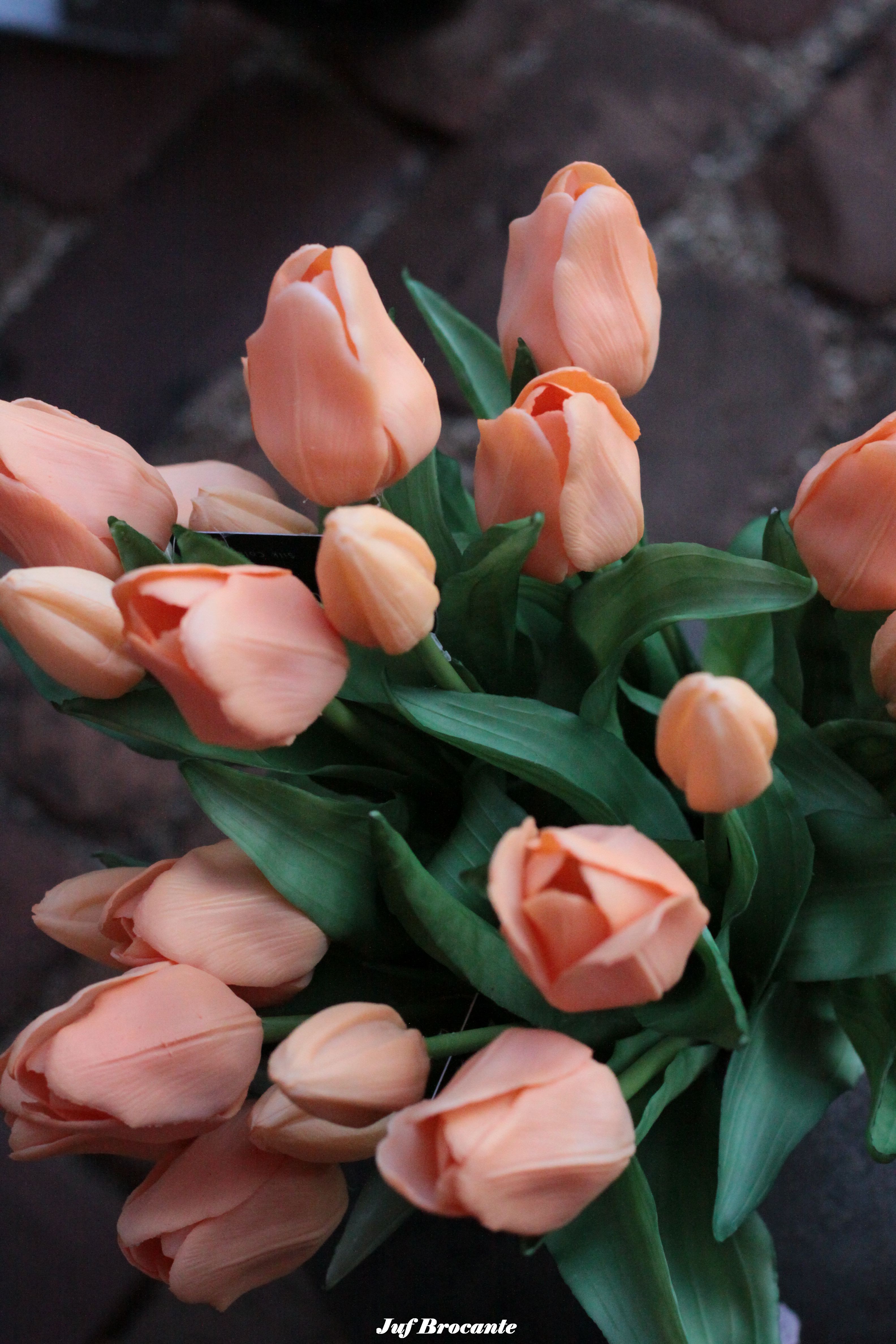 Tulpen zalm