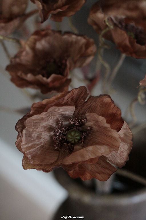 Brynxz zijdebloem poppy bundle brown