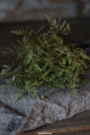 Groene takjes per bos