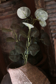 Lange tak eucalyptus (kunst) met vol blad