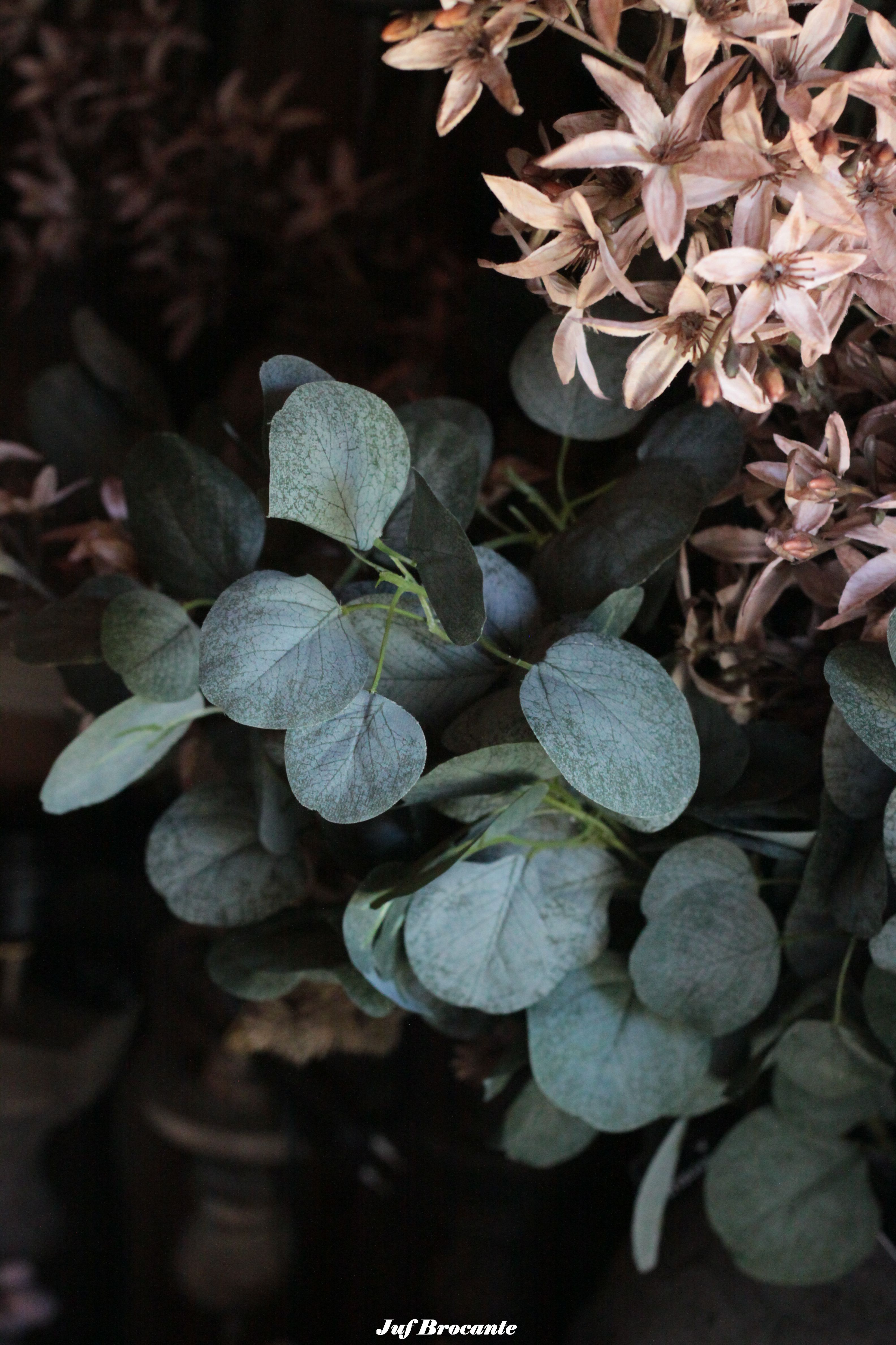 Lange tak eucalyptus (kunst) met vol blad