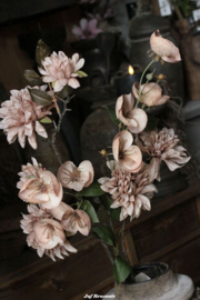 Zijdebloem dahlia cappuccino