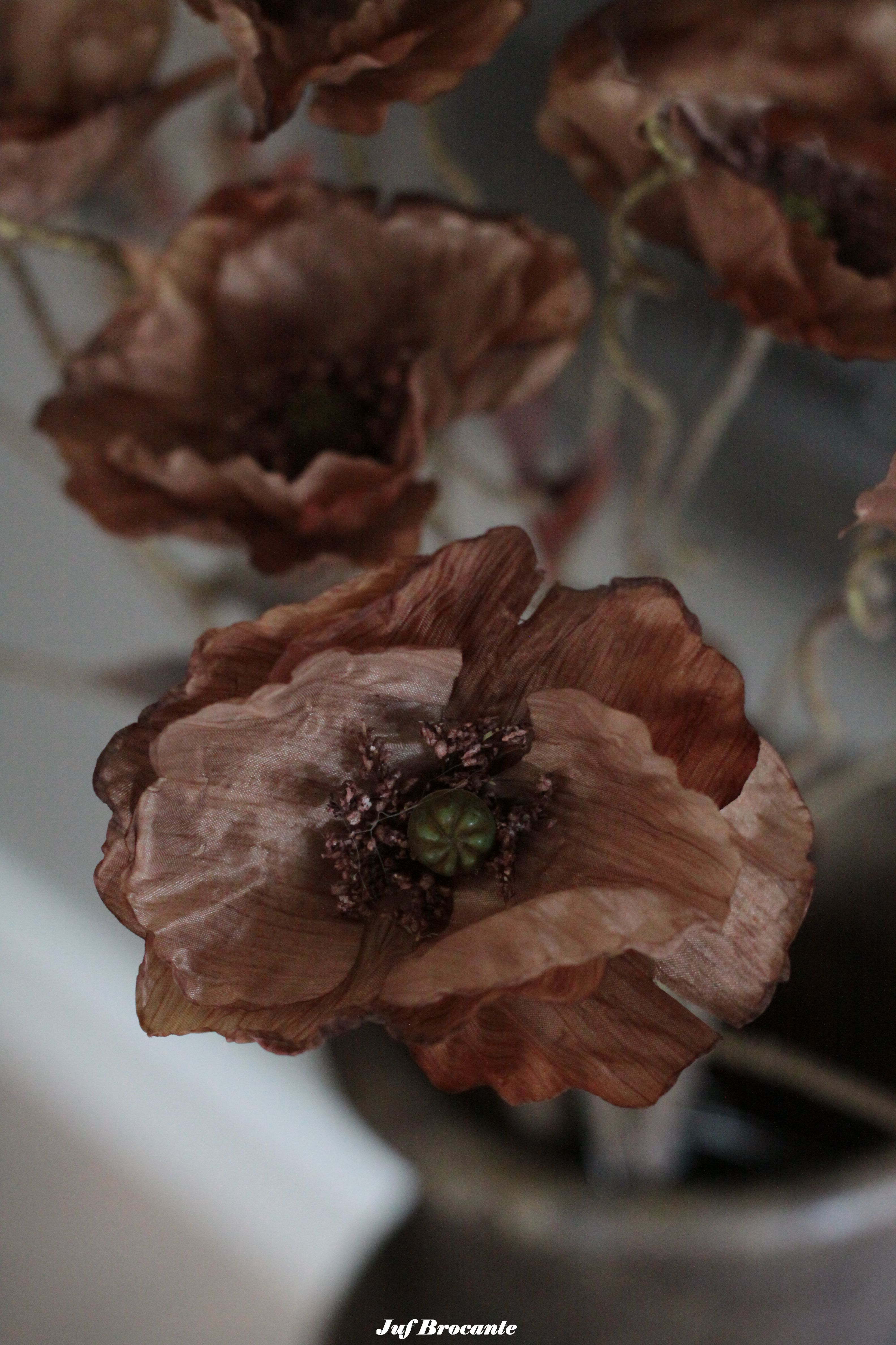 Brynxz zijdebloem poppy bundle brown