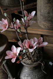 Kruik met magnolia compleet