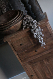 Toef eucalyptus grijs blad met bloemetjes